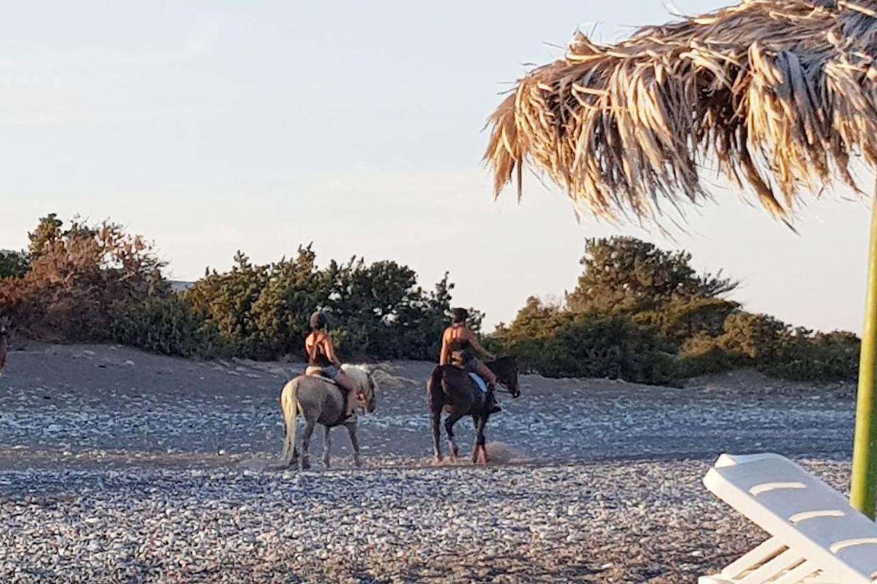Cedrus And Sea, Beachfront House, Gennadi, Rhodes Exterior photo